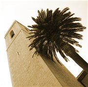 00225219