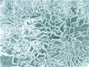 00223550