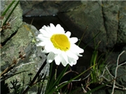 00224153