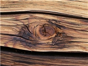 00224964