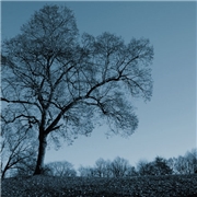 00225294